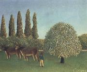 Henri Rousseau THe Pasture oil painting picture wholesale